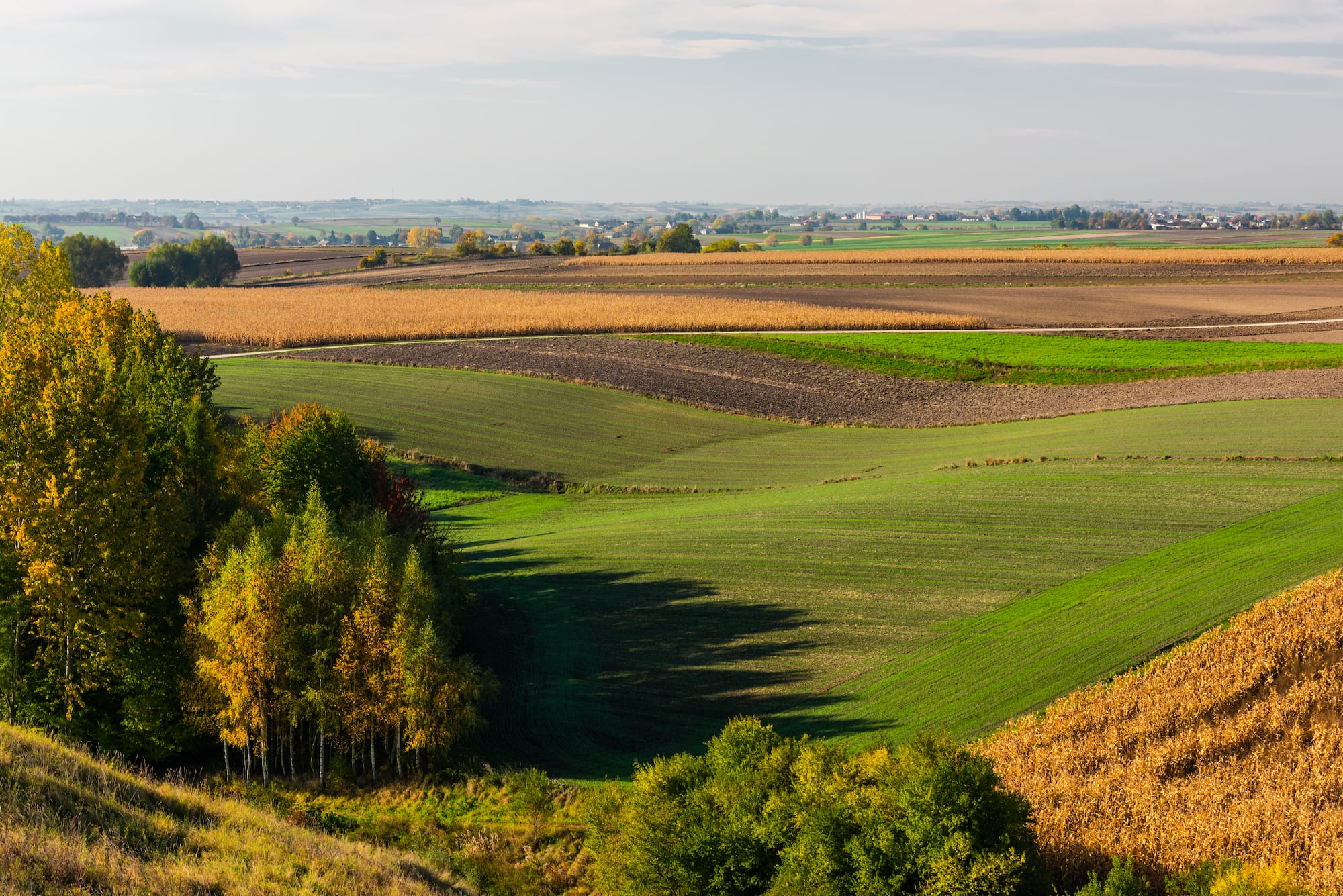 Managing pasture through the seasons.