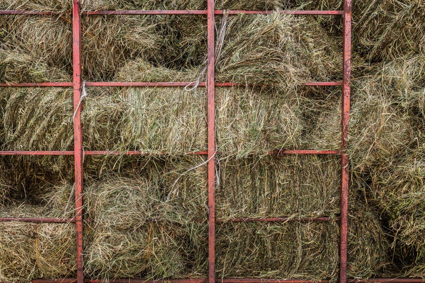 Storing your hay in the right way is imperative for a long shelf-life.