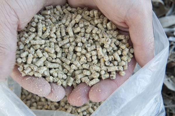 biosecurity planning for your feedstuff is crucial for minimising disease and vermon spread.