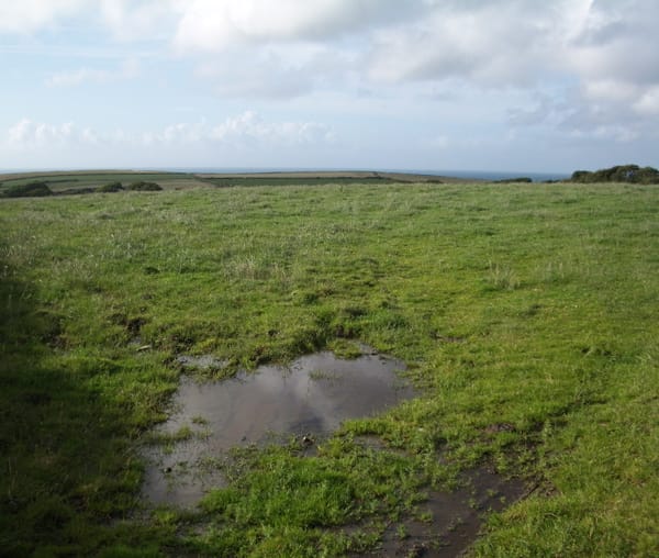 Water-logged pastures become a breeding ground for pesky parasites