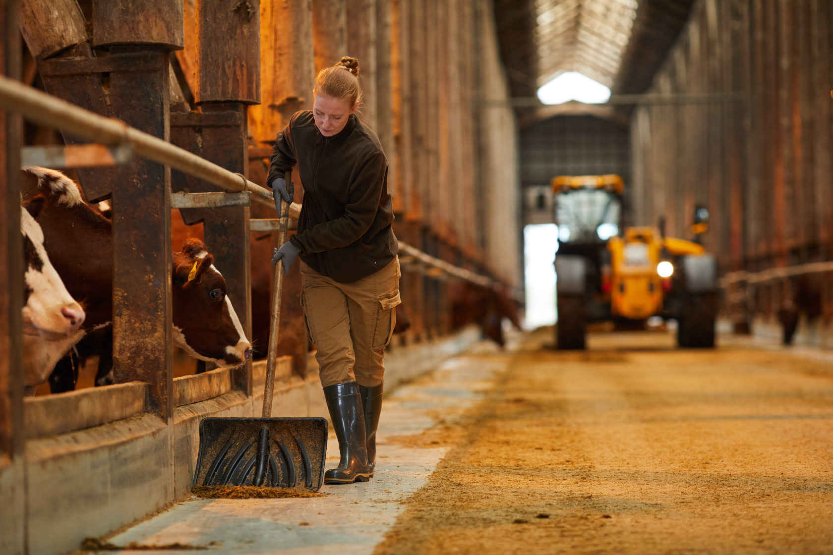 Remove all bedding and equipment before cleaning the barn. For rough and porous surfaces, use a broad-spectrum disinfectant with penetration enhancers.