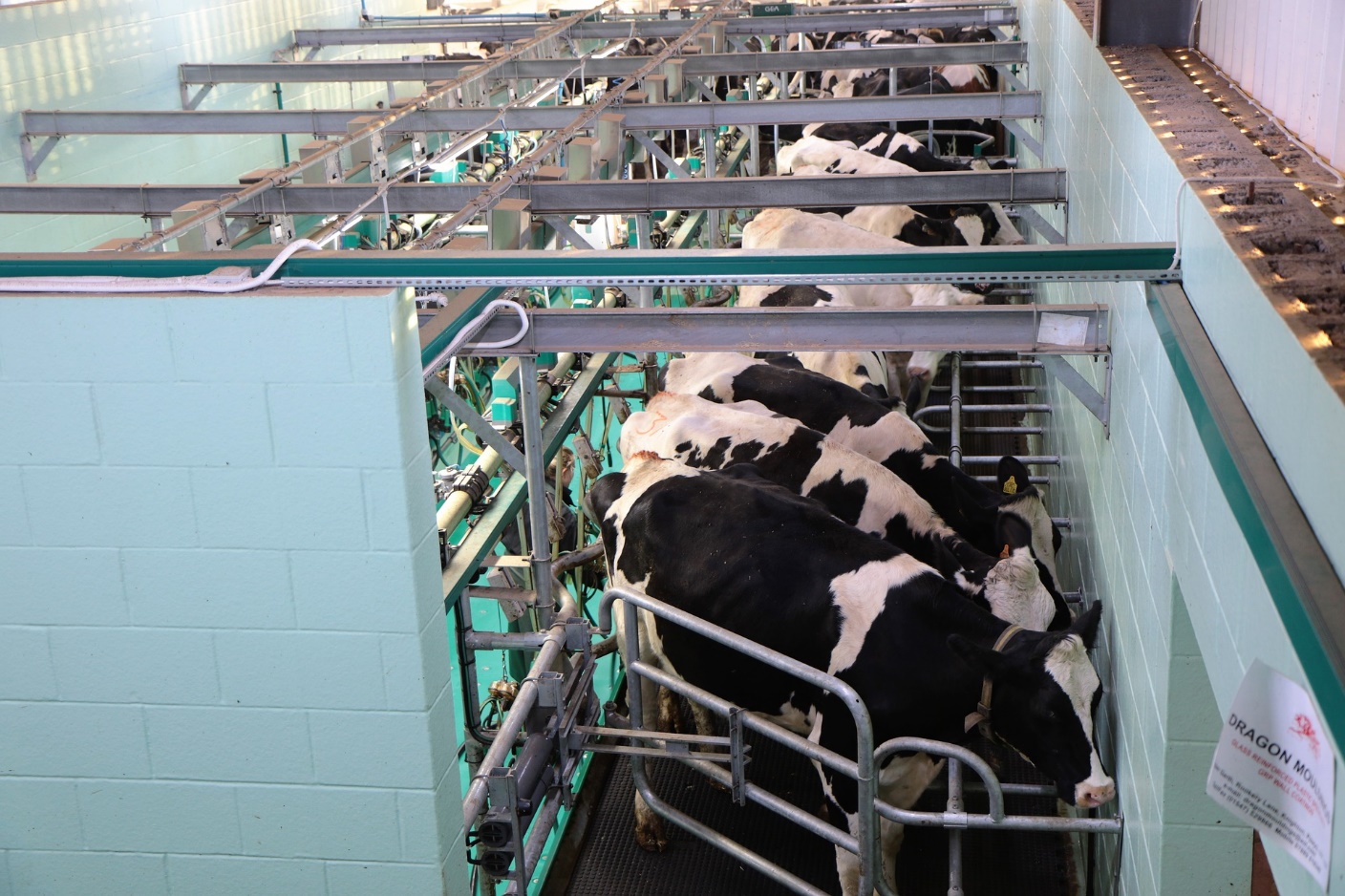 Farms with high parlour pressure can be cleaned once a day.