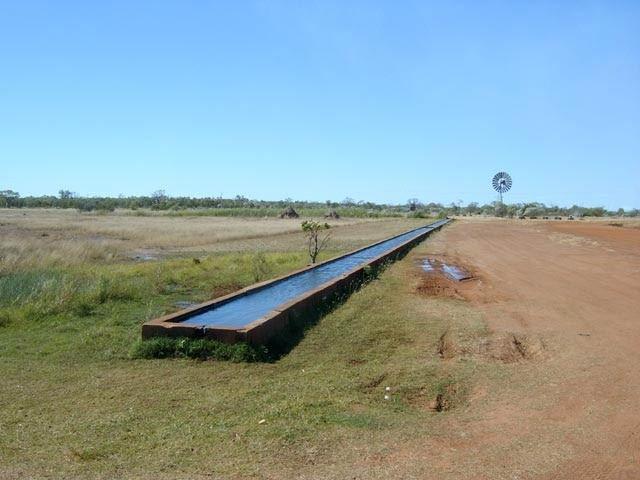 An easily accessible water trough created for cattle