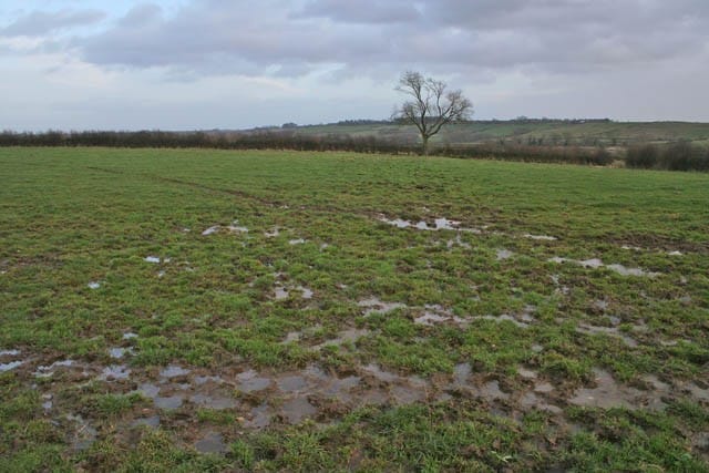 Waterlogged pastures indicate heavy clayey soils with poor drainage.
