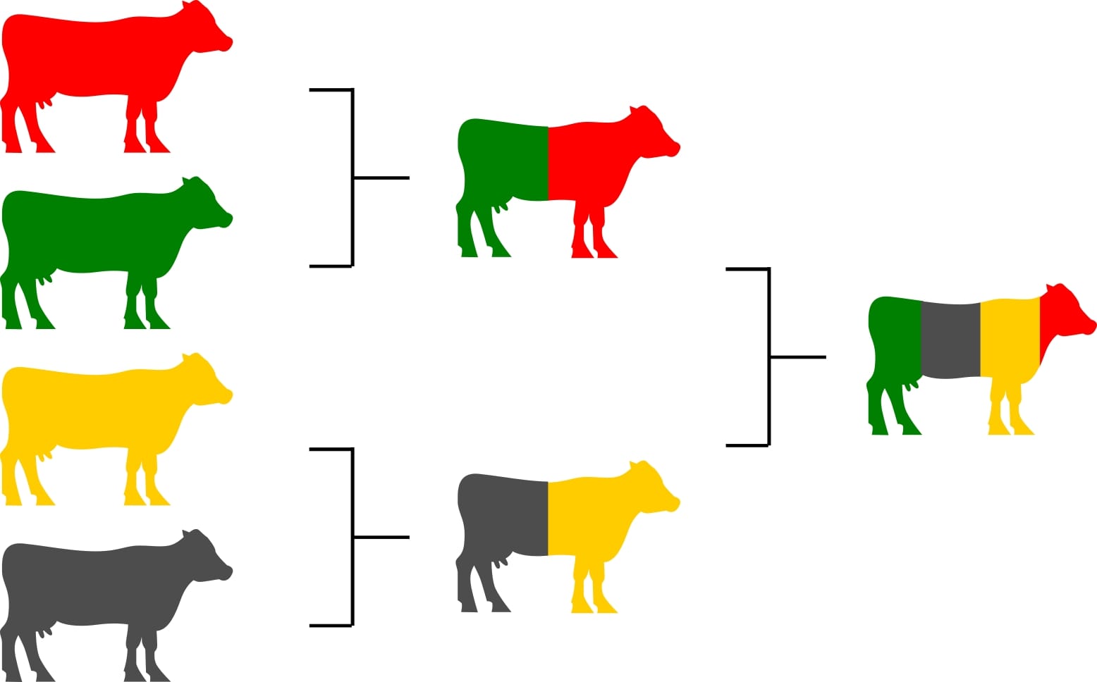 n this system, you would mix traits of economic value from many different breeds and create a composite straight-bred herd.
