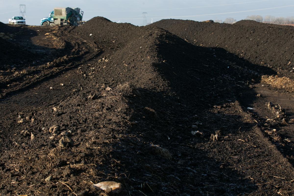 Compost ready for use looks similar to nutritious and friable soil