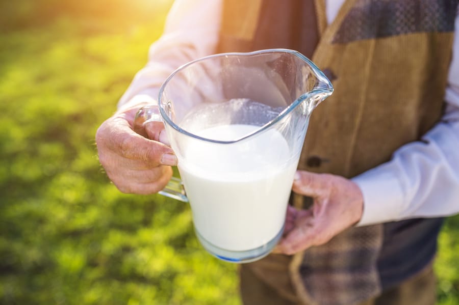 25% of the milk that Australians drink comes from the grain that cows eat