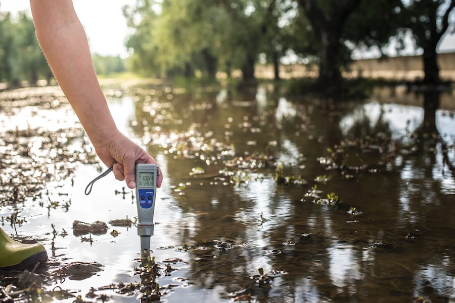 Drinking stagnant water in a pond covered with algae may lead to diseases like botulism