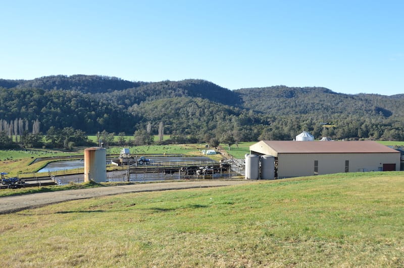 Cedar Grove dairy farm