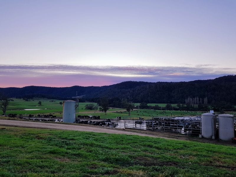 Looking across Cedar Grove dairy farm