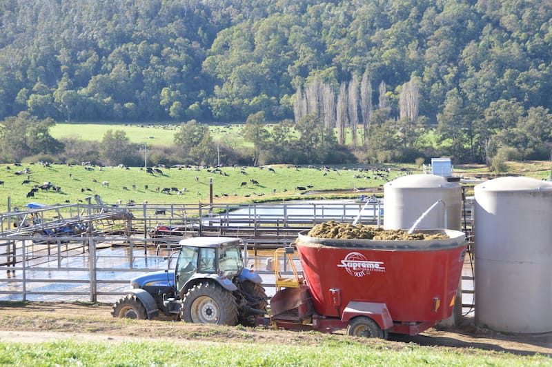 Mixer wagon at Cedar Grove dairy farm