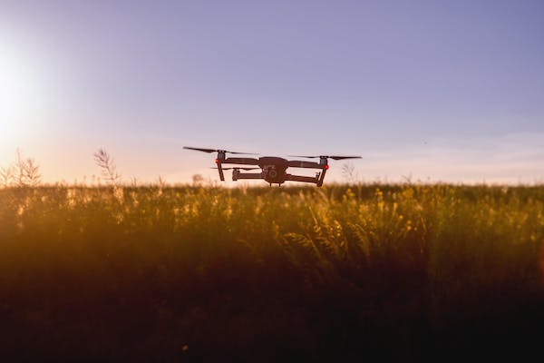 Drone flying over a cereal field on a farm.