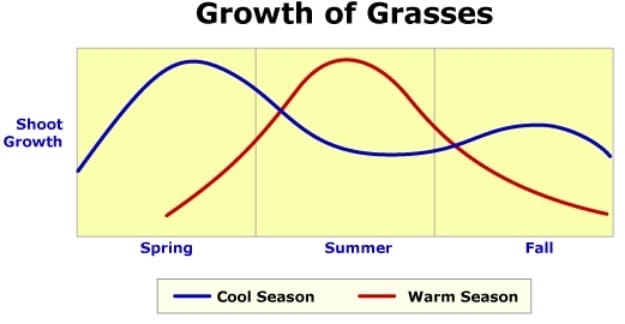 The growth pattern of cool-season and warm-season grasses across seasons