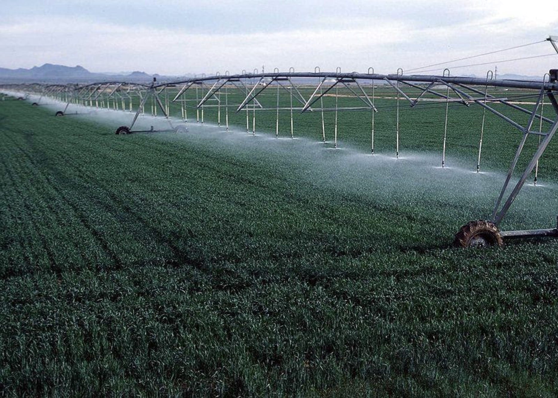 More large-scale types of irrigators such as the pivot irrigator shown above can be used on soils with little or no risk