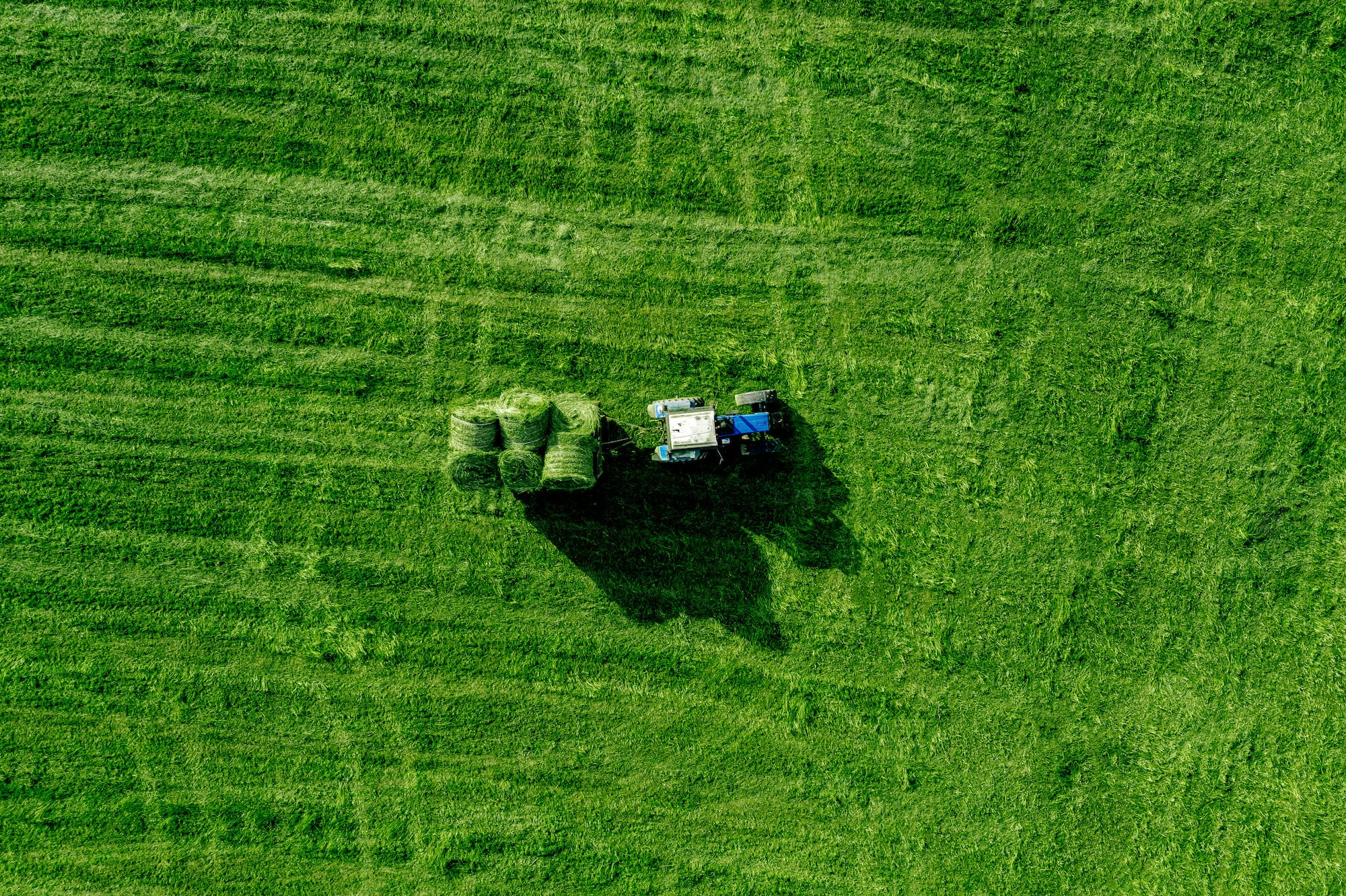 Long and hard hours are typical in a farming day