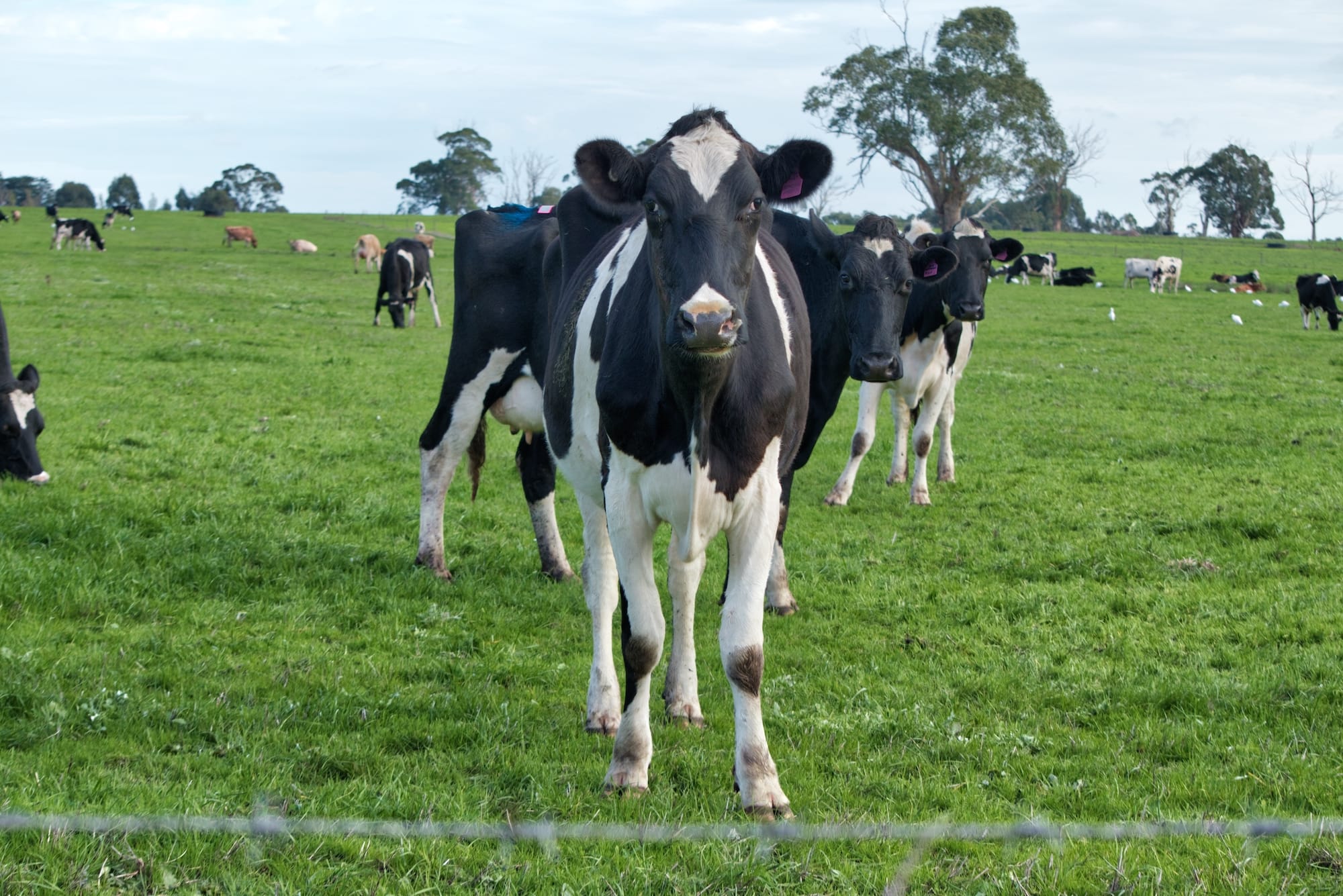 Farming is not all about spending time with animals and lush green fields of pasture