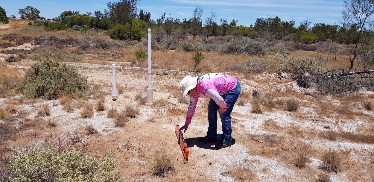 Saline soils have visibly poor plant growth