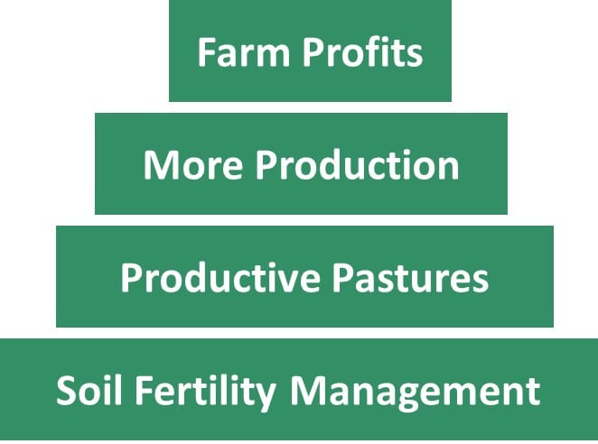 Soil fertility management is the foundation for better production and profits