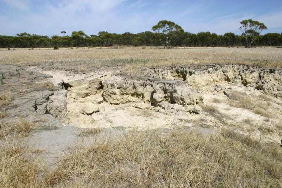 Sodic soils are easily eroded. They also have poor water and root percolation capacities