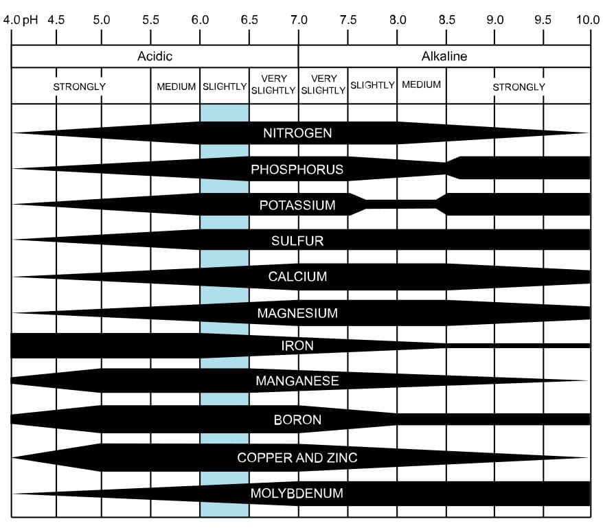 How soil nutrient availability changes with respect to soil pH values