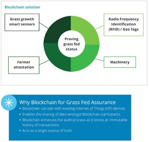 Blockchain is used for supply chain efficiency