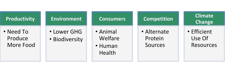 Agtech is disrupting the world with many solutions for massive global issues