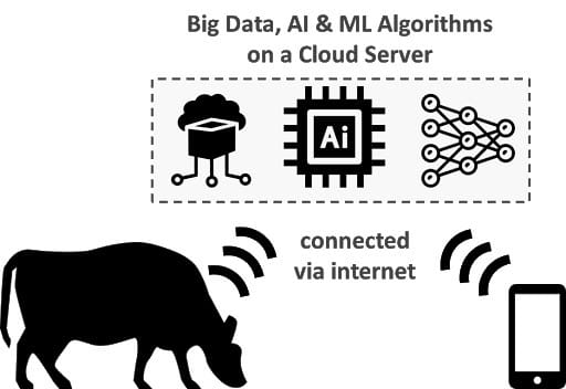 IoT is growing in popularity in the agtech world