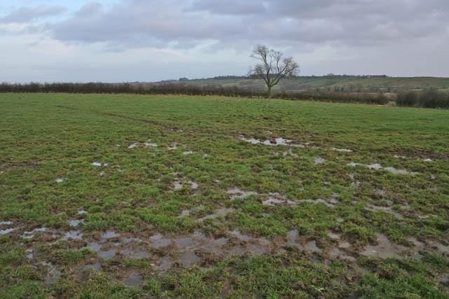 Over-grazed grasses won’t have the necessary root systems and carbohydrate reserves to regrow and recover from a grazing event quickly