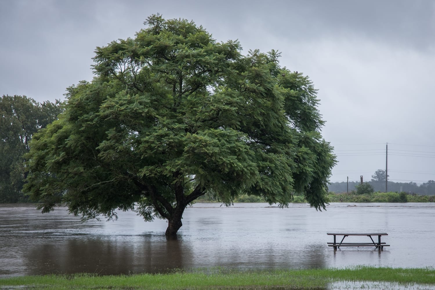 Flood waters: a very full soil water bucket!