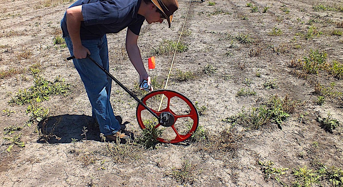 a-practical-guide-to-design-shelterbelts-on-your-farm