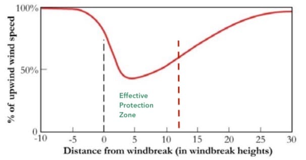 Shelterbelts reduce wind speeds