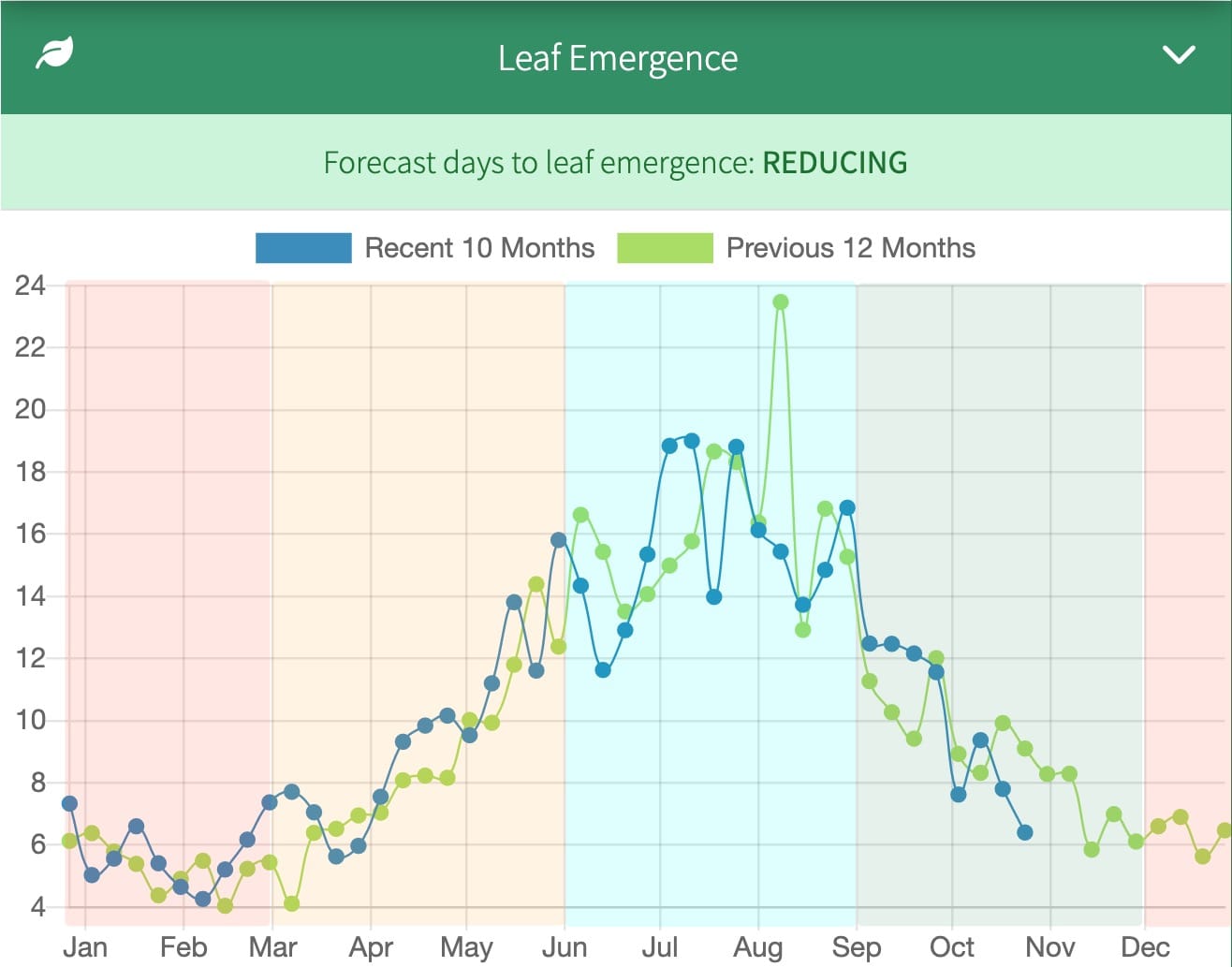 Leaf appearance rate changes according to seasonal conditions