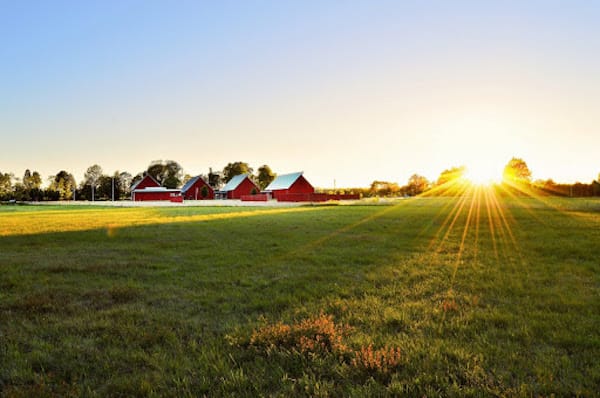 Sunshine on pasture with seasonal management.