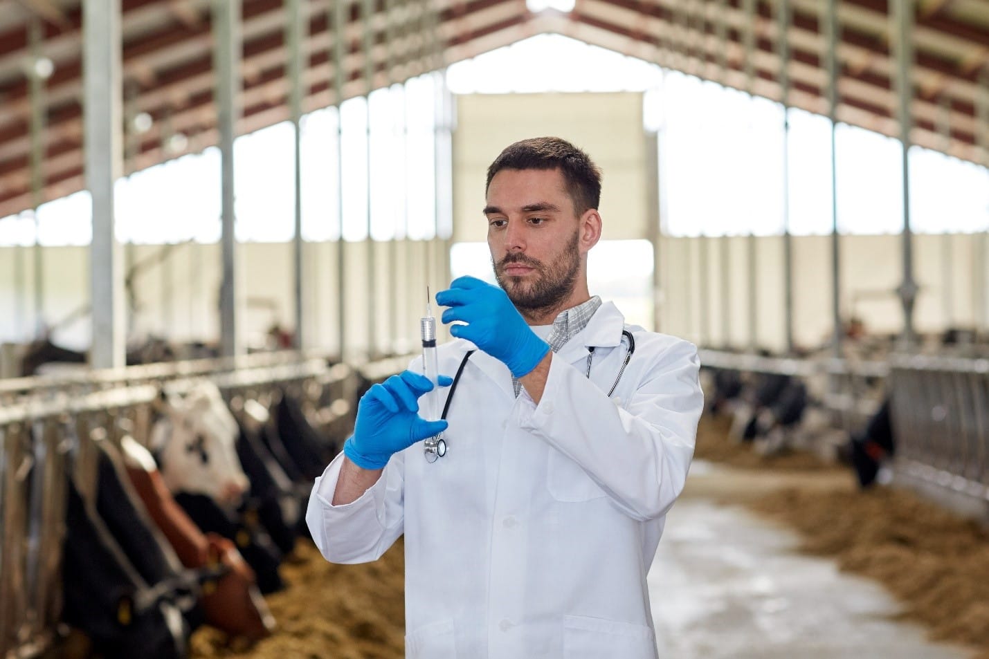 Vaccinating your animals is one of the most important parts of managing your livestock.