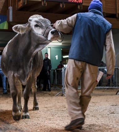 Social distancing during the COVID-19 pandemic is crucial to stopping the spread.