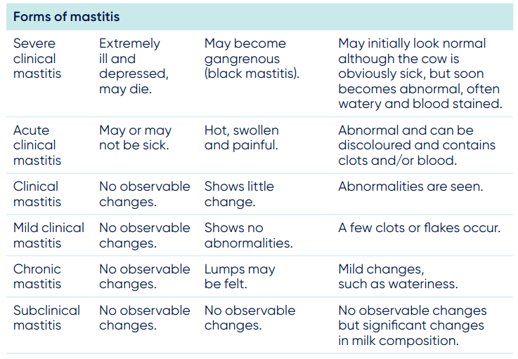 Different forms and stages of mastitis.