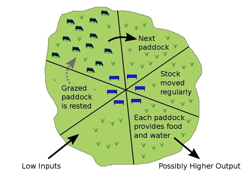 Grazing rotations need careful planning in order to fulfil successful deferred grazing practices.