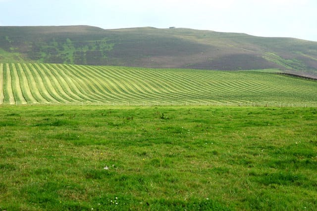 Mowing grass at the right height will maximise both quality and quantity of conserved pasture.