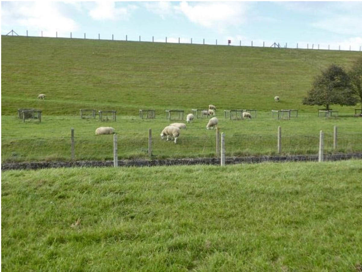 Graze animals in fenced paddocks to meet target residuals