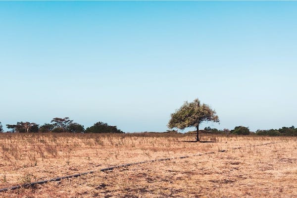 Brown and dry landscape in a changing climate