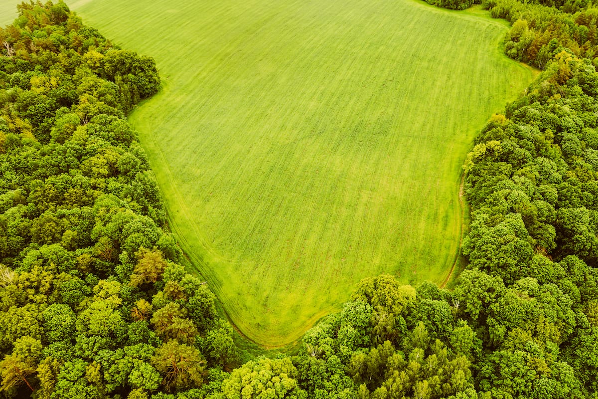 Shelterbelts can offer protection from wind erosion