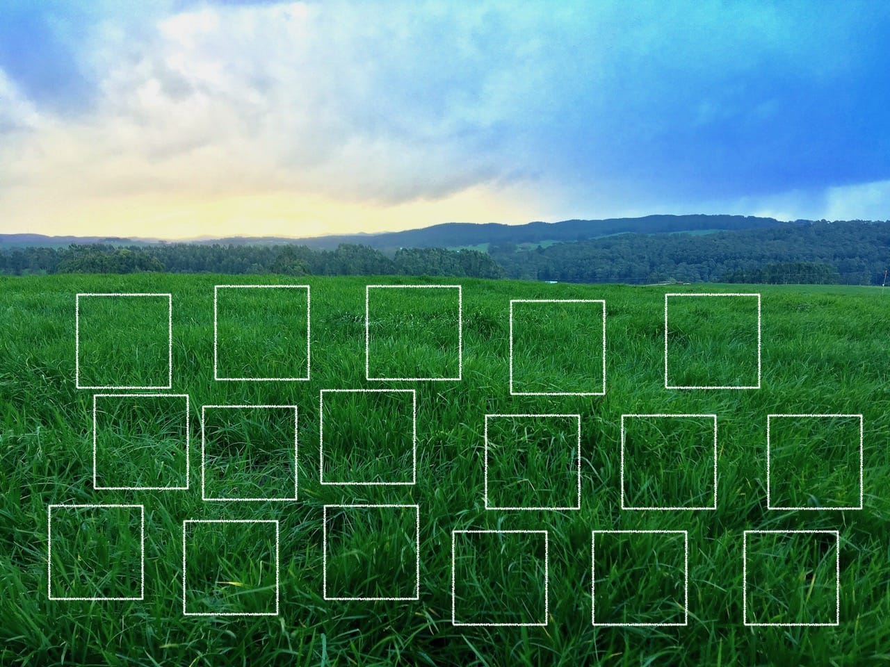 Quadrant cuts for measuring pasture