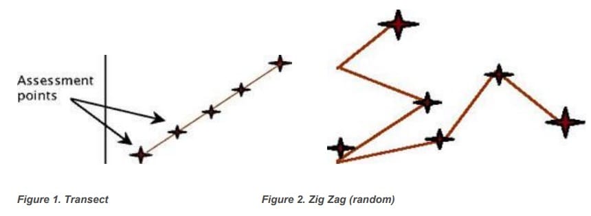 Diagonal VS Random assessment points along a paddock