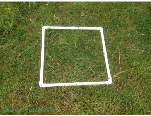 the-quadrant-cut-method-to-measure-grass-an-advantage-or-a-disadvantage