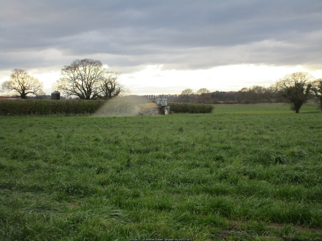 Take a soil test before deciding on your fertiliser plan.