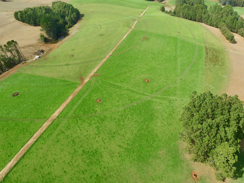 Paddocks that are fenced into easily subdivided paddocks for adapting to different grazing round lengths
