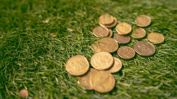 High farm profits are made from well managed grass.