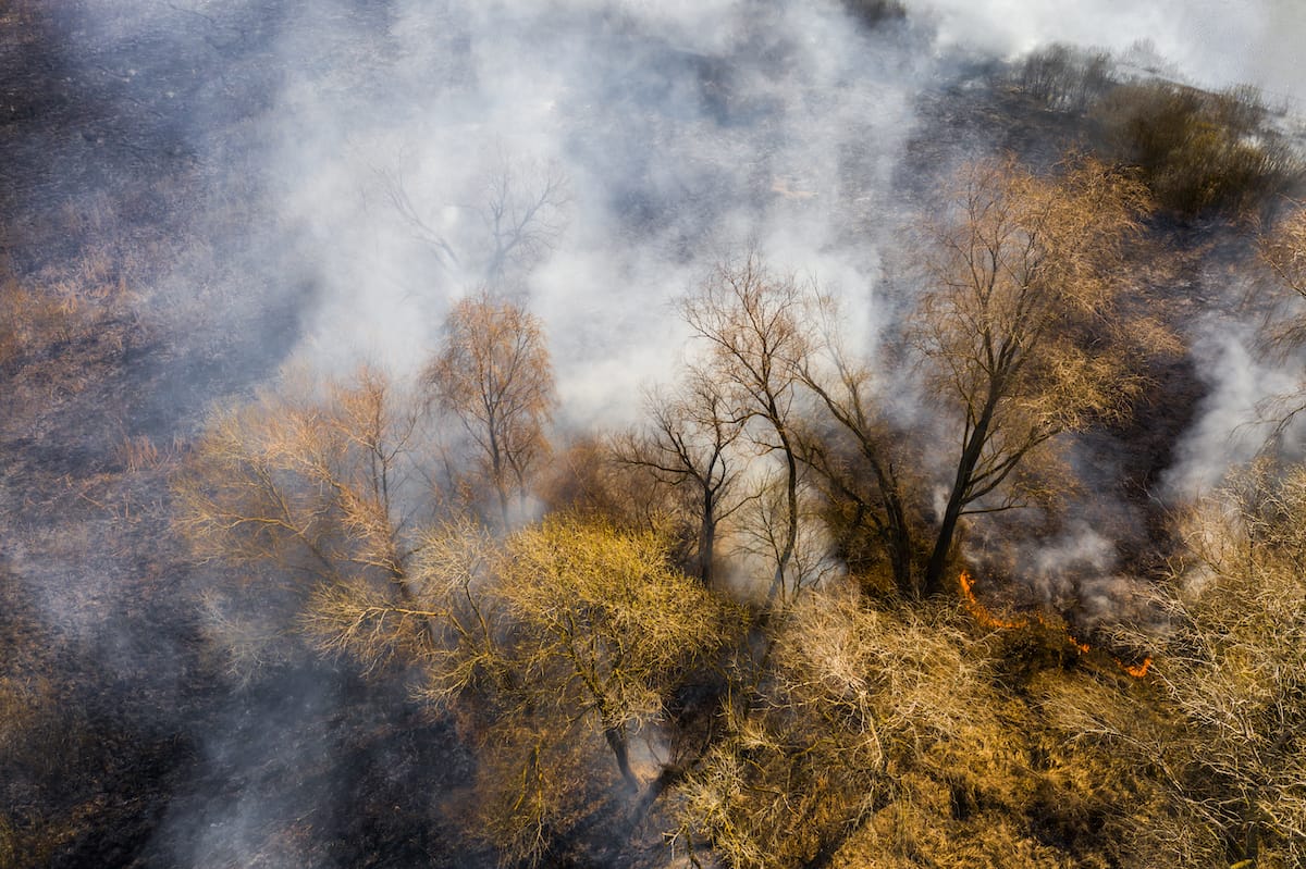 Wildfires can cause loss of life and your livestock need a plan for such a scenario.