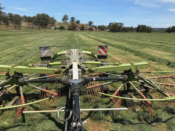 Raking surplus pasture for conserving as silage.