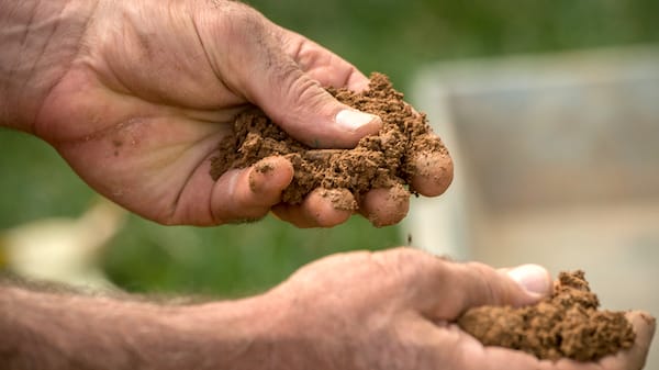 Soil testing is integral to understanding the growth potential of grass.